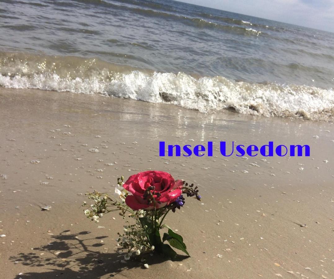 Ferienwohnung Mit Terrasse - Insel Usedom تراسينهيد المظهر الخارجي الصورة
