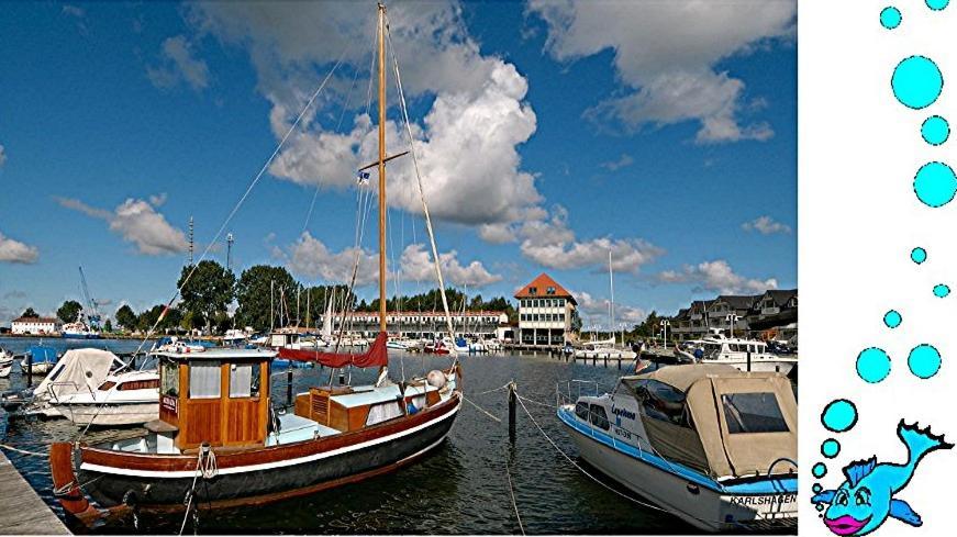 Ferienwohnung Mit Terrasse - Insel Usedom تراسينهيد المظهر الخارجي الصورة