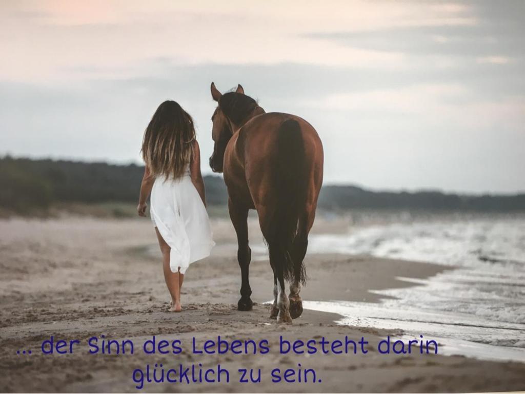 Ferienwohnung Mit Terrasse - Insel Usedom تراسينهيد المظهر الخارجي الصورة