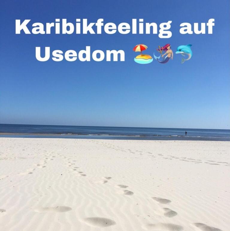 Ferienwohnung Mit Terrasse - Insel Usedom تراسينهيد المظهر الخارجي الصورة