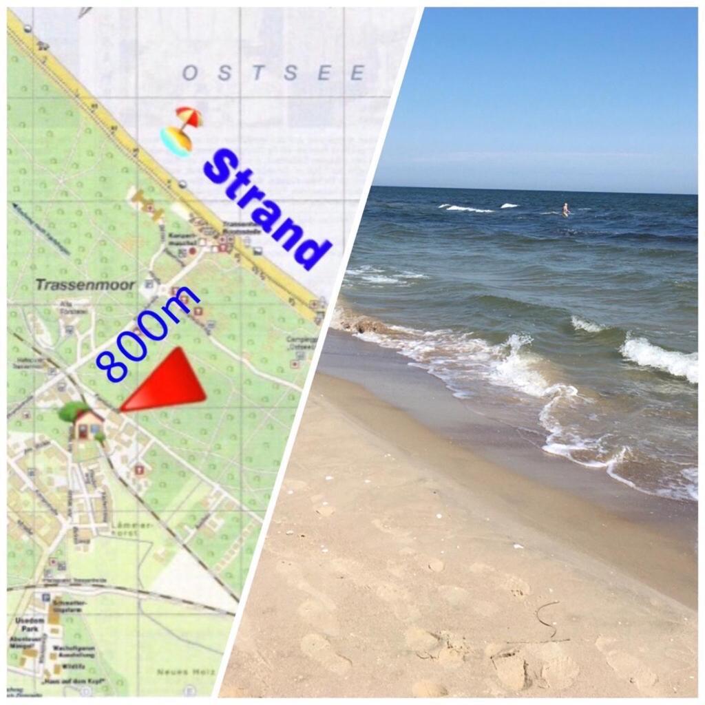 Ferienwohnung Mit Terrasse - Insel Usedom تراسينهيد المظهر الخارجي الصورة