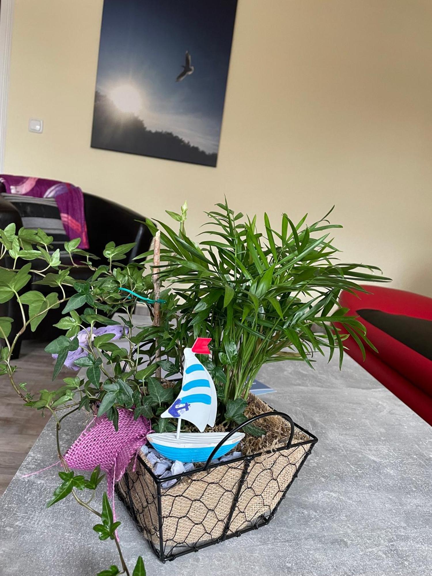 Ferienwohnung Mit Terrasse - Insel Usedom تراسينهيد المظهر الخارجي الصورة