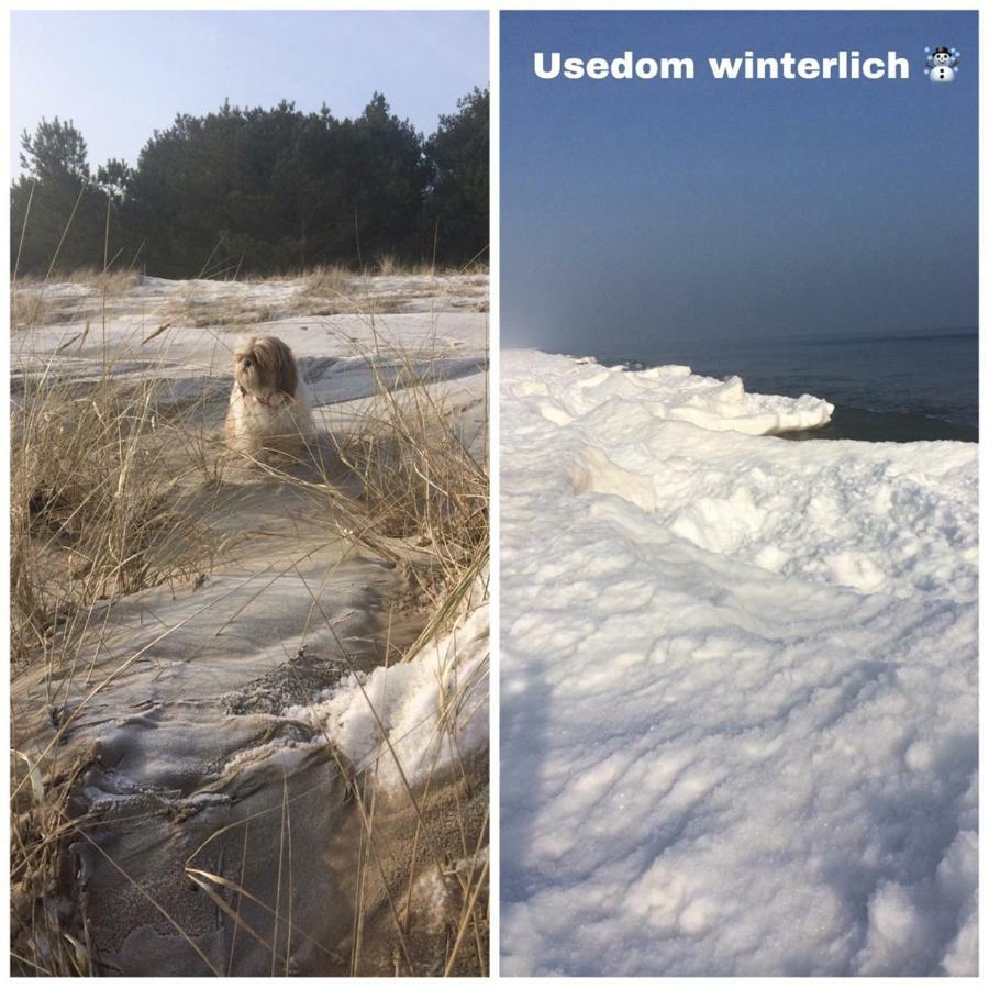 Ferienwohnung Mit Terrasse - Insel Usedom تراسينهيد المظهر الخارجي الصورة