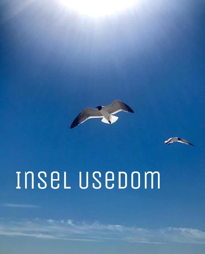 Ferienwohnung Mit Terrasse - Insel Usedom تراسينهيد المظهر الخارجي الصورة
